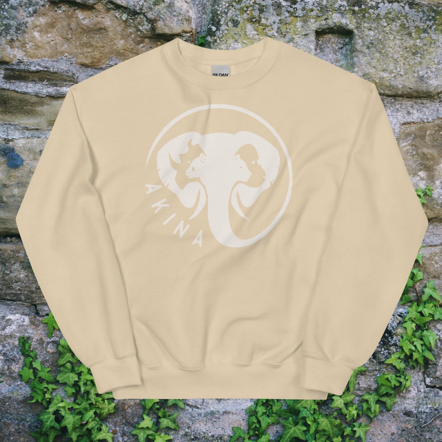 Sweatshirt - Akina Emblem