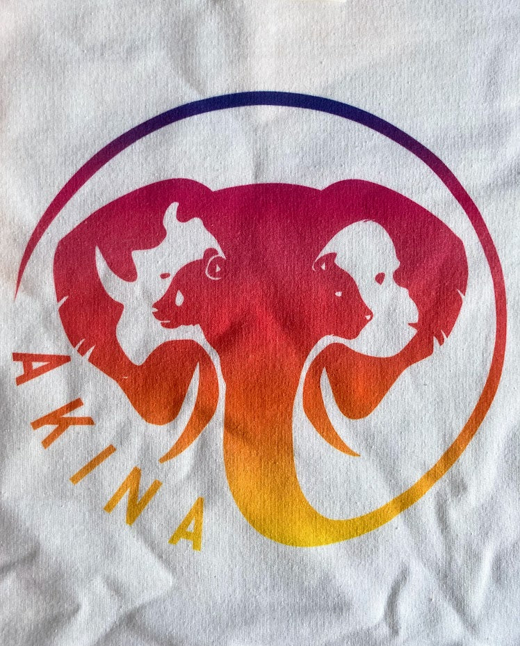 Close-Up of Akina Emblem with Sunset Gradient